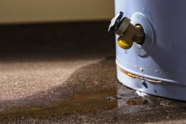 Best Sewage cleanup and water damage restoration  in Kdeer, IL