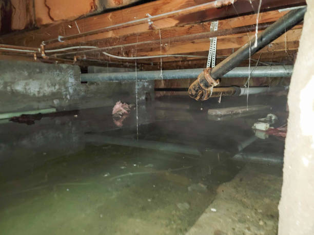 Best Emergency water damage restoration  in Kdeer, IL