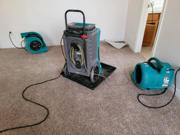 Best Water damage contractors near me  in Kdeer, IL