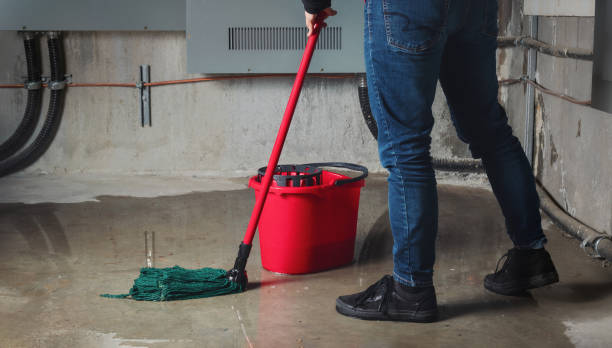 Best Flooded house restoration  in Kdeer, IL