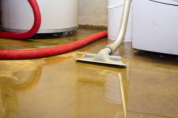 Best Fire Damage Restoration  in Kdeer, IL