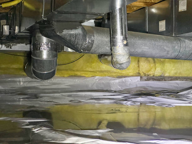 Best Mold removal after water damage  in Kdeer, IL