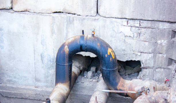 Best Water damage restoration mold remediation  in Kdeer, IL