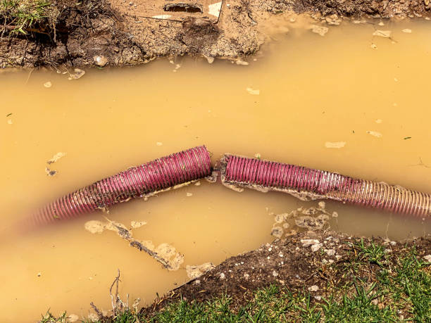 Water damage restoration mold remediation in IL