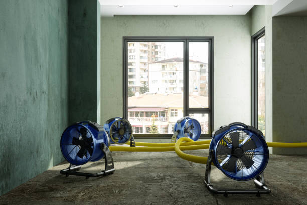 Best Commercial water damage restoration  in Kdeer, IL
