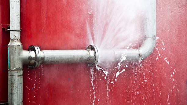 Best Basement water damage restoration  in Kdeer, IL
